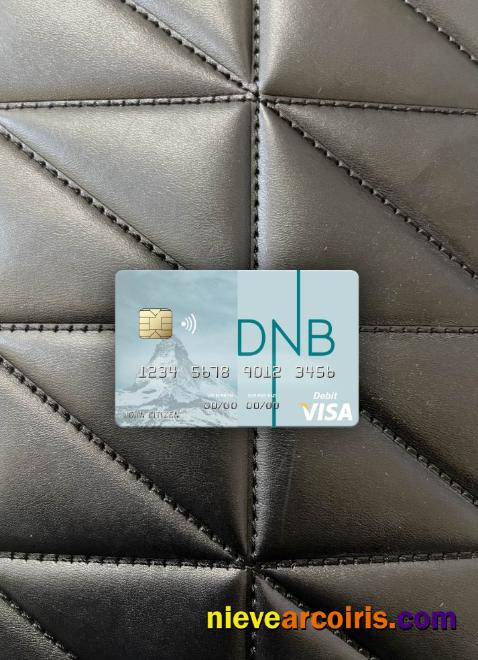 Lithuania DNB Bank visa debit card photolook